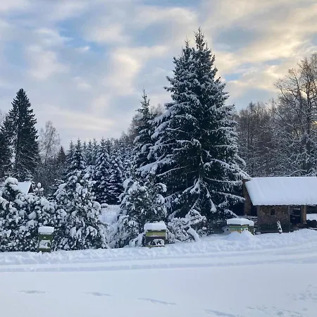 Country house Mezupes Tuja
